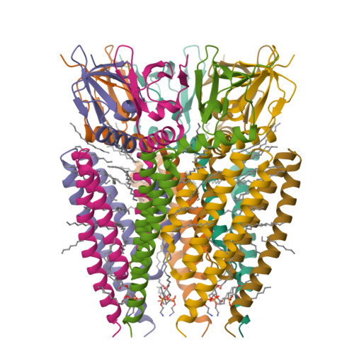 Structure 9SDT