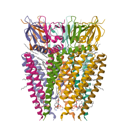 Structure 9SEC