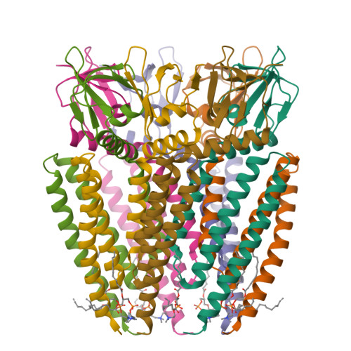 Structure 9SEF
