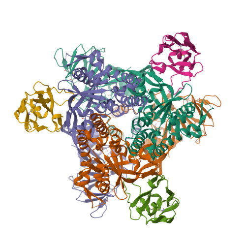 Structure 9SF4