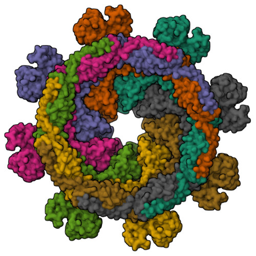 Structure 9SFD