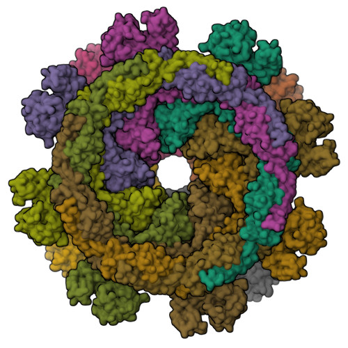 Structure 9SFN