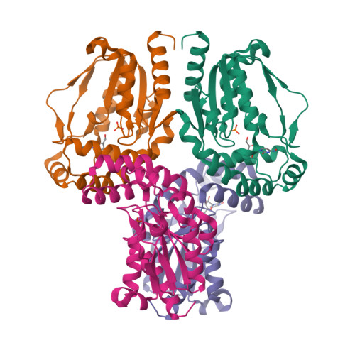 Sgf Complex RCSB PDB - 9SGF: Human UCK1 in complex with NHC