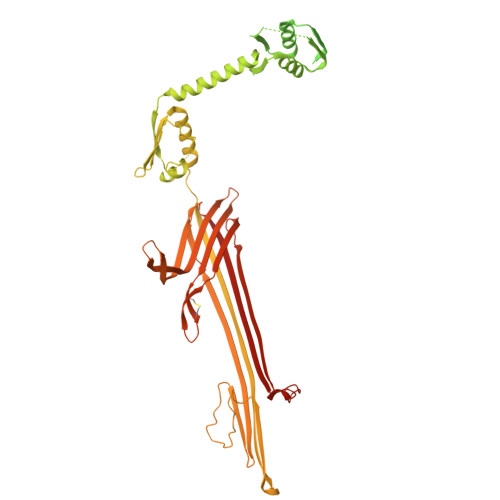 Structure 9SH1