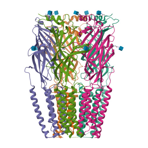 RCSB PDB - 9SHO: Structure of the honeybee GABAA RDL receptor with GABA