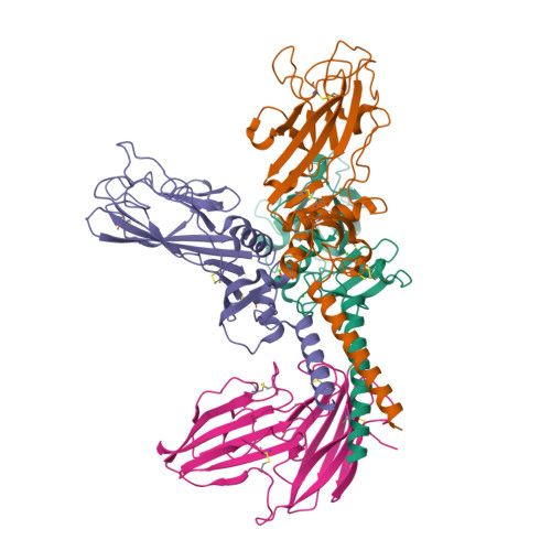 Structure 9SHT