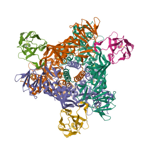 Structure 9SHV