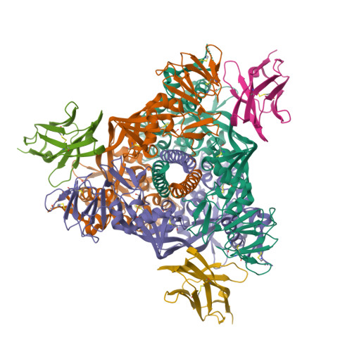 Structure 9SHW