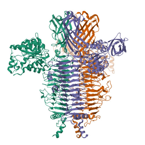 Structure 9SIM
