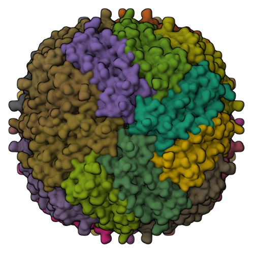 RCSB PDB - 9SJS: Cryo-EM structure of Human Apoferritin at pH 4