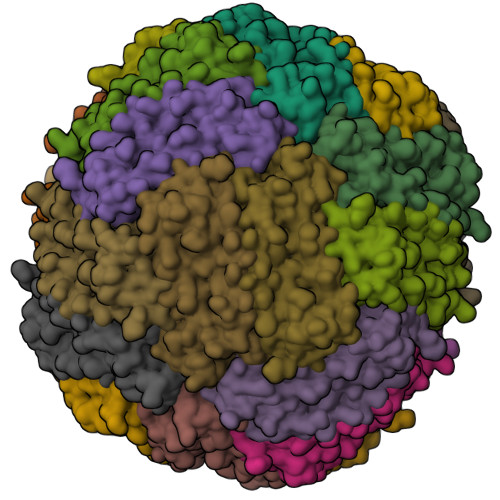 RCSB PDB - 9SJT: Cryo-EM structure of Human Apoferritin at pH 5