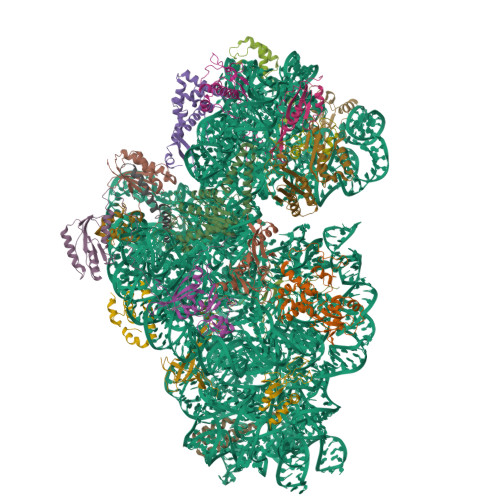 Structure 9SK2