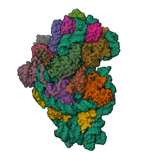 Structure 9SK4