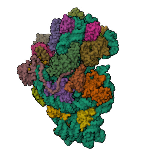 Structure 9SK5