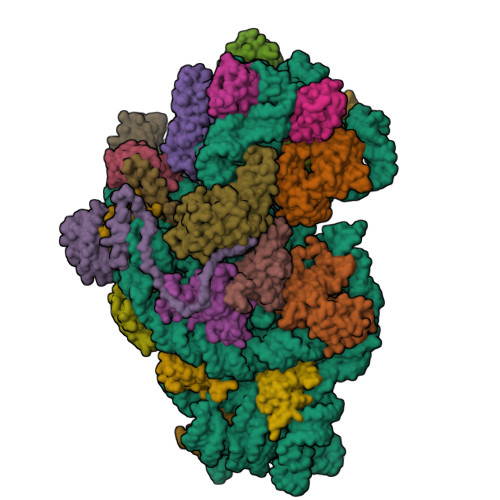 Structure 9SK6