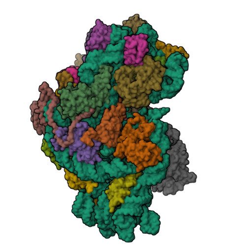 Structure 9SK7