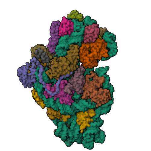 Structure 9SK9
