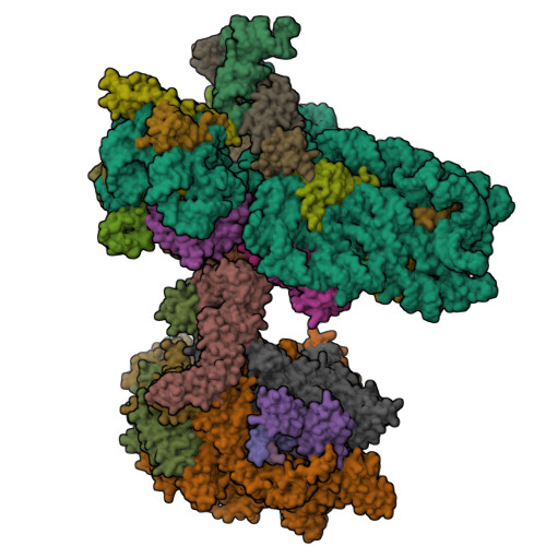 Structure 9SKA