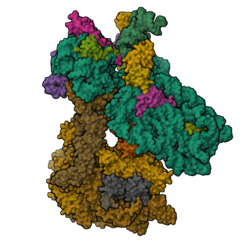 Structure 9SKB