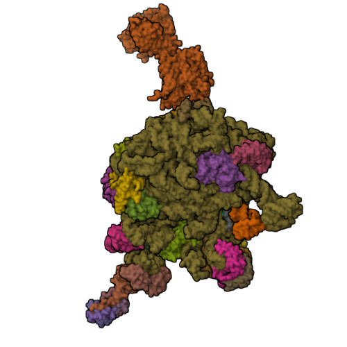 Structure 9SKD