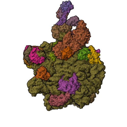 Structure 9SKE