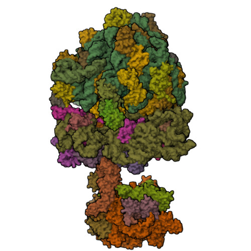 Structure 9SL6