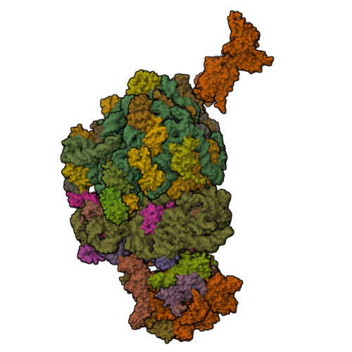 Structure 9SL7