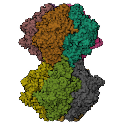 Structure 9SLB