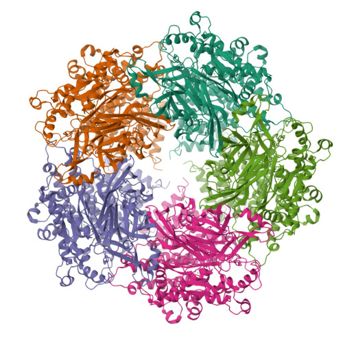 Structure 9SLL