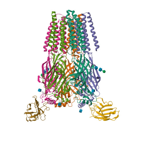 Structure 9SLM