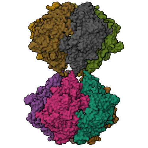 Structure 9SLN