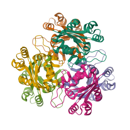 Structure 9SLP