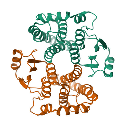Structure 9SLT