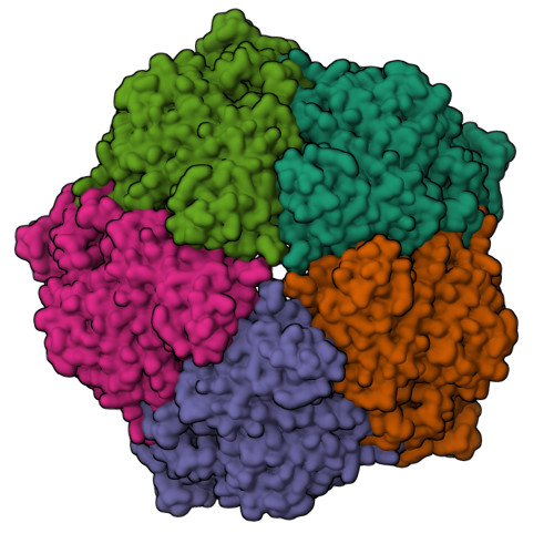 Structure 9SM8
