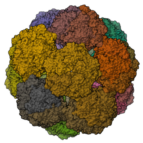 Structure 9SMJ