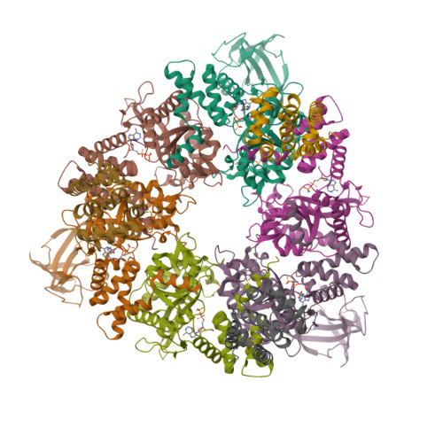 Structure 9SN2
