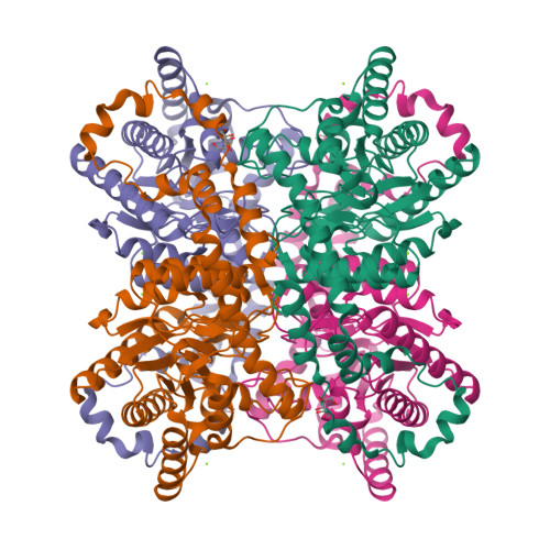 Structure 9SNW