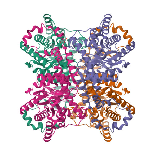 Structure 9SNX