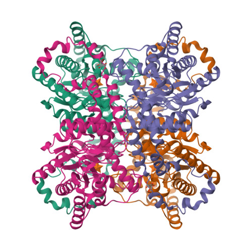 Structure 9SO1