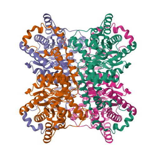 Structure 9SO2