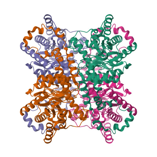 Structure 9SO4
