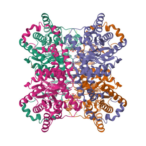 Structure 9SO8
