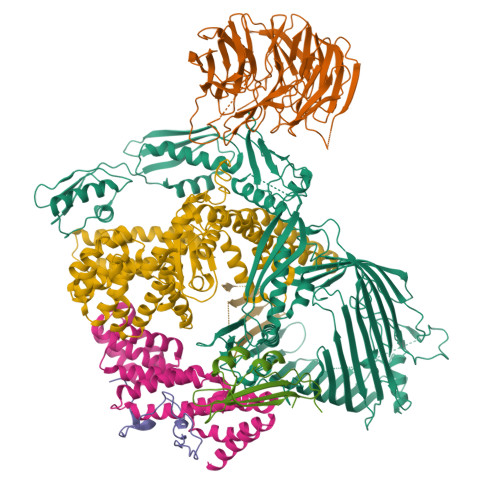 Structure 9SOW