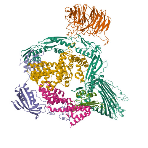 Structure 9SOX