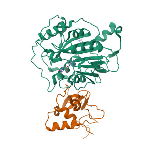 Structure 9SP0