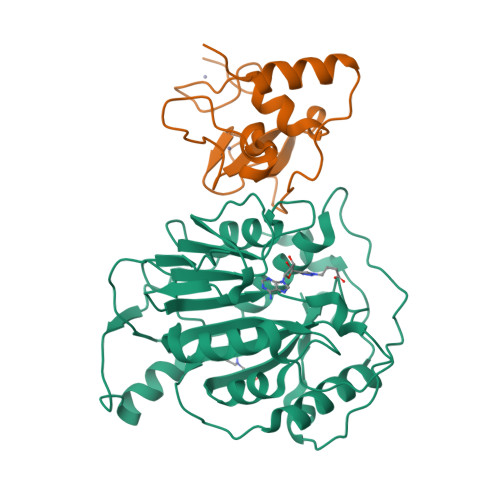 Structure 9SP3
