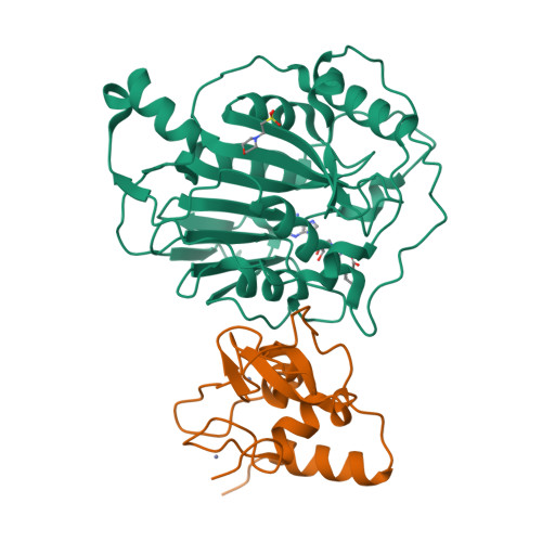 Structure 9SP4