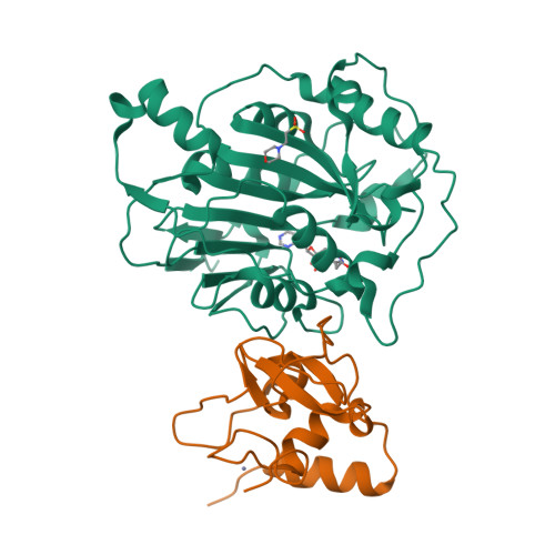 Structure 9SP5
