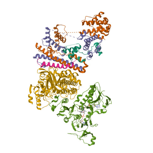 Structure 9SPE