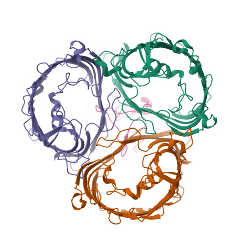 Structure 9SPG